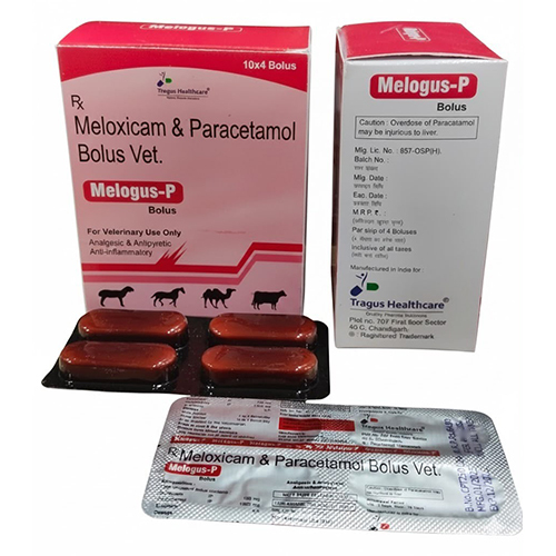 Meloxicam And Paracetamol Bolus