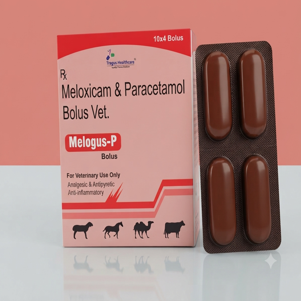 Meloxicam And Paracetamol Bolus