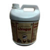 Choline Chloride And Yeast Extract Supplement