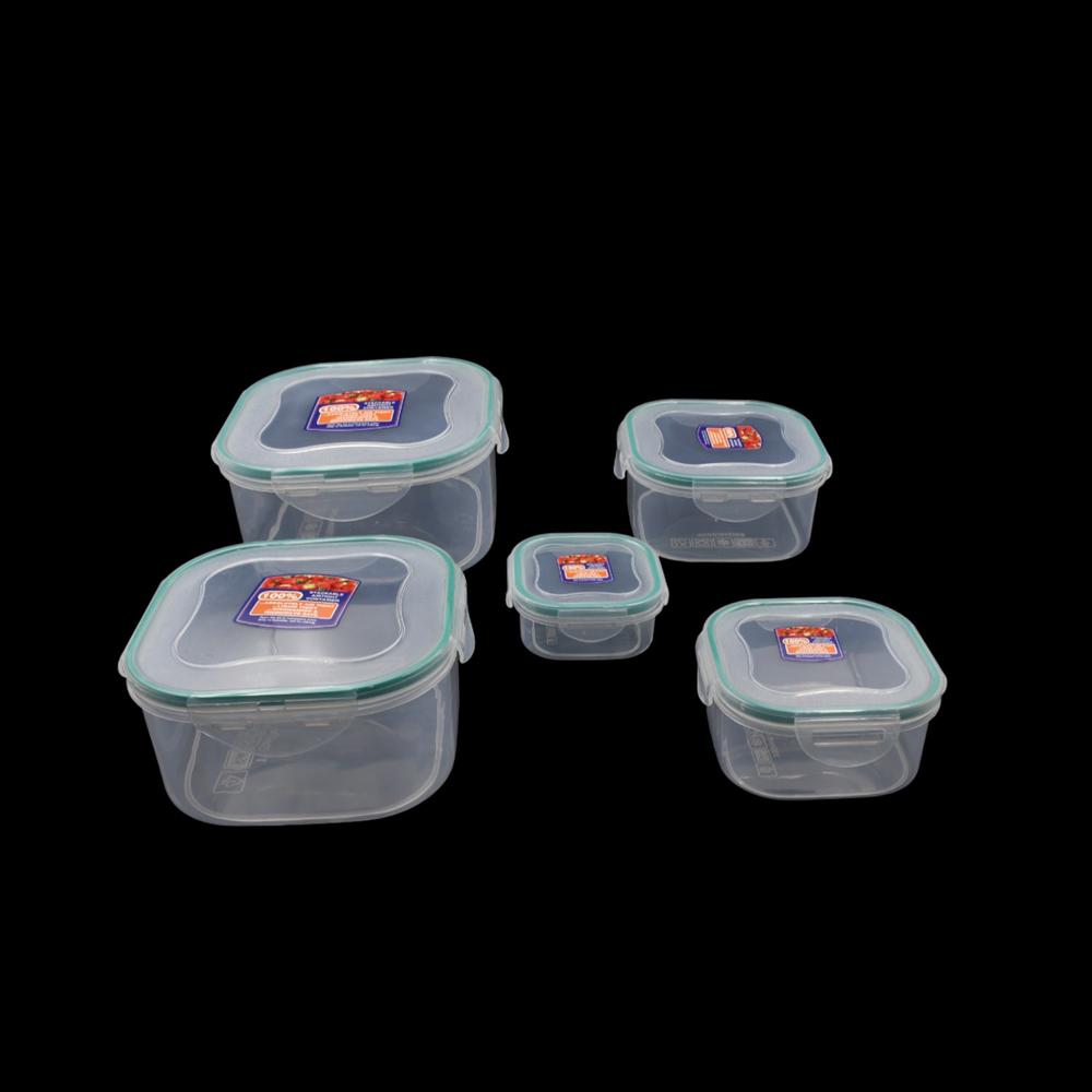 Kitchen Storage Containers Set Fridge Organizer Lunch Boxes (5 Pcs)