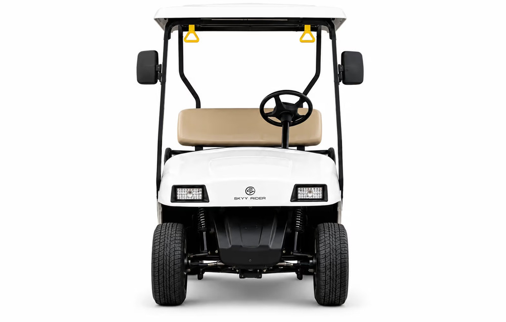 2 Seater Golf Cart LINKSMAN