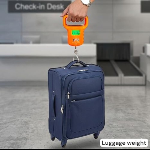 Rock Light Rl-ws019 Portable Electronic Scale - Automatic Grade: No