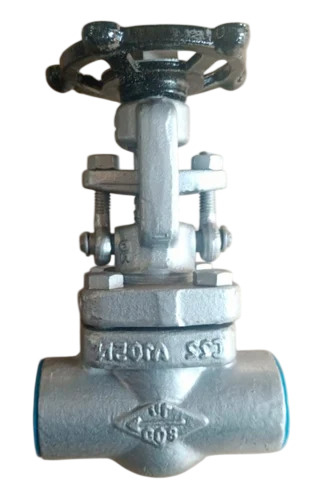 Stainless Steel Gate Valve