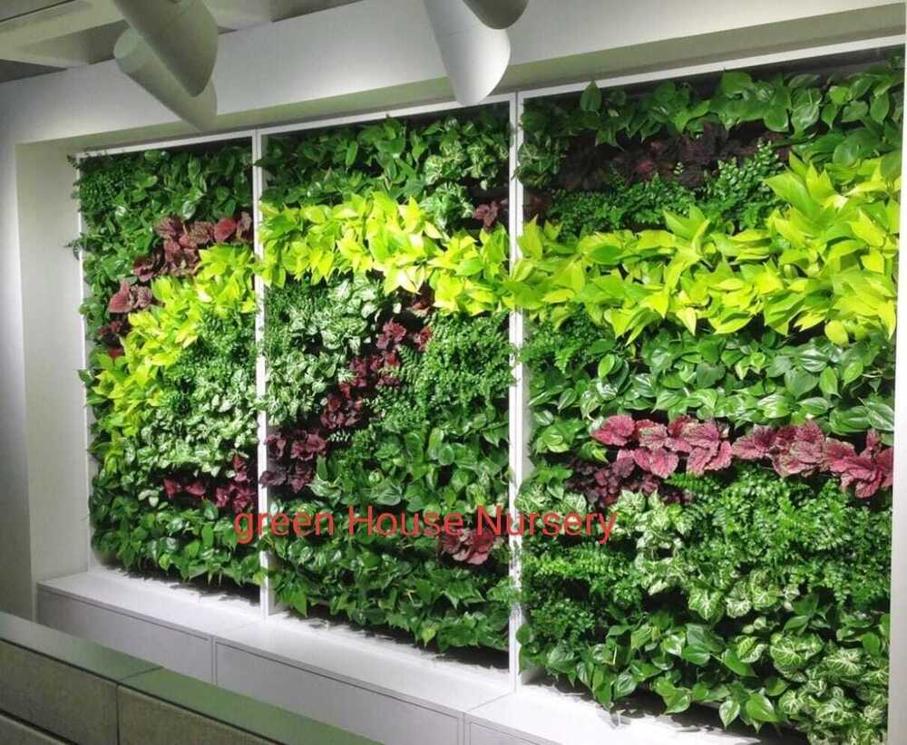 Vertical Garden (Small Homes And Balconies) - Shelf Life: 5 To 12 Years