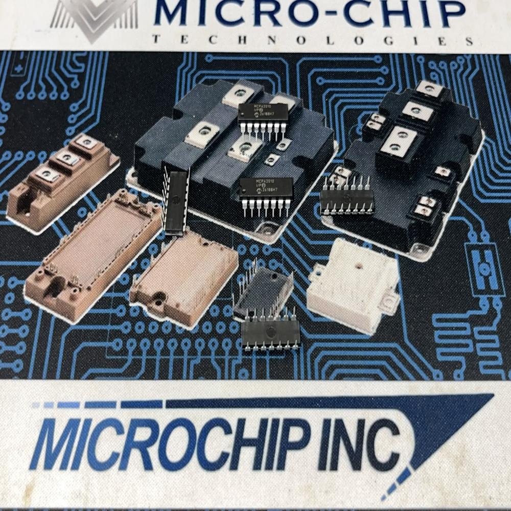 MCP42010