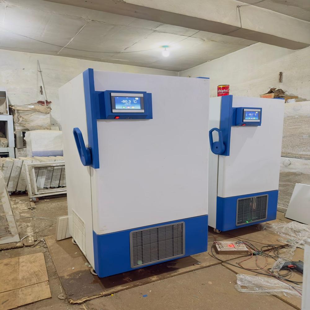 Vertical Deep Freezer
