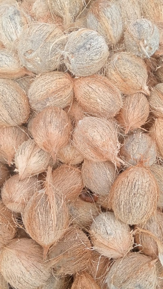 White Coconut