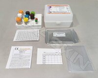 CTK Biotech RecombiLISA Leptospira IgM ELISA