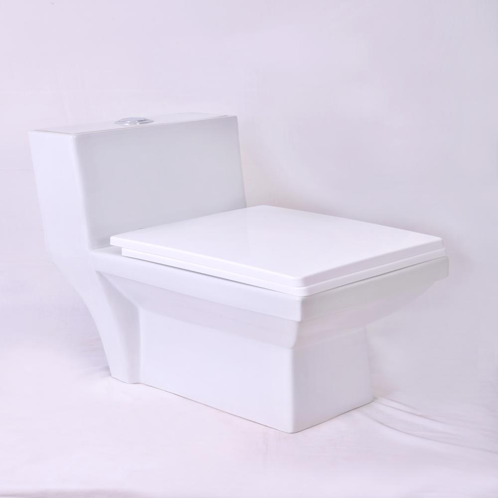 Square One Piece Toilets