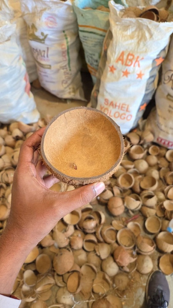 Dense Coconut Shell