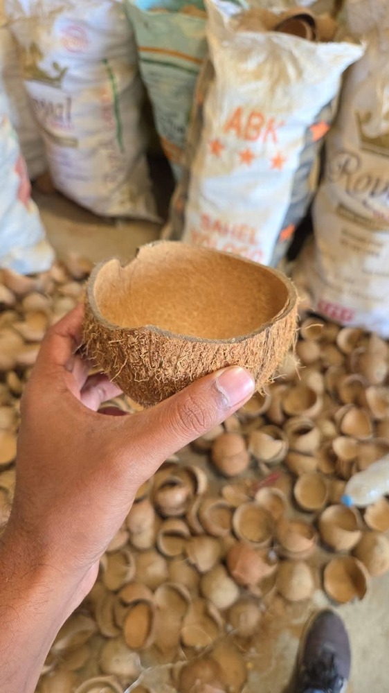 Raw Coconut Shell