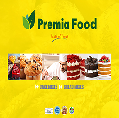 Premium Printed Brochure Design