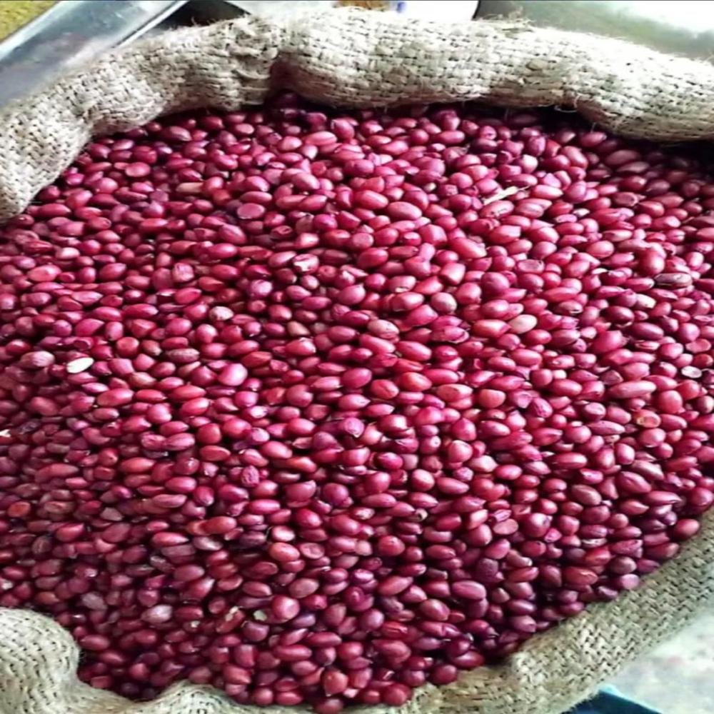 PEANUT RED