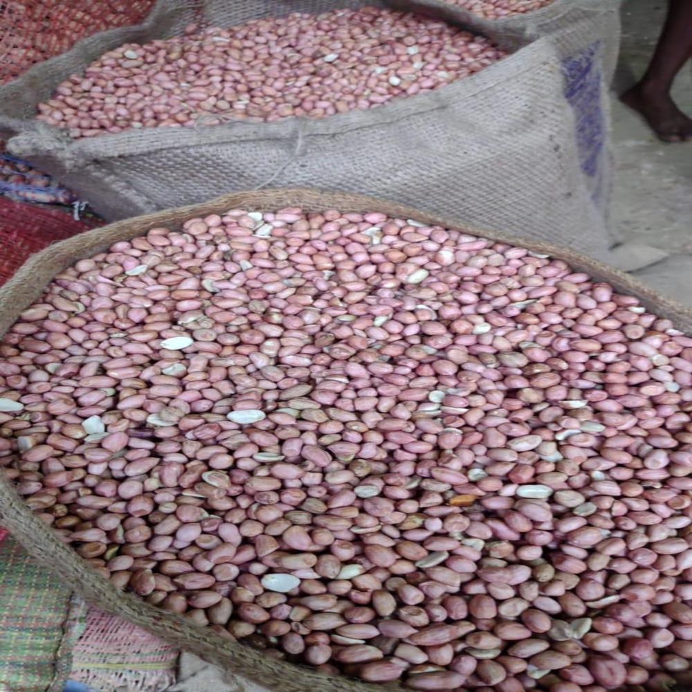 Peanut Red - Cultivation Type: Organic