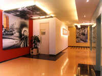 Vinyl Graphics
