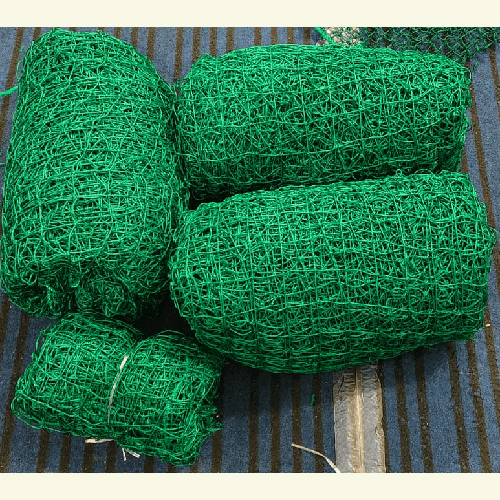 Breided Cricket Net