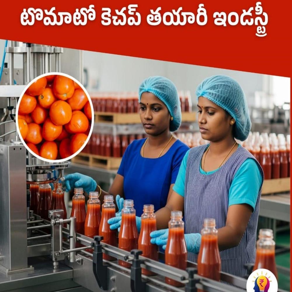TOMATO KETCHUP PROCESSING PLANT