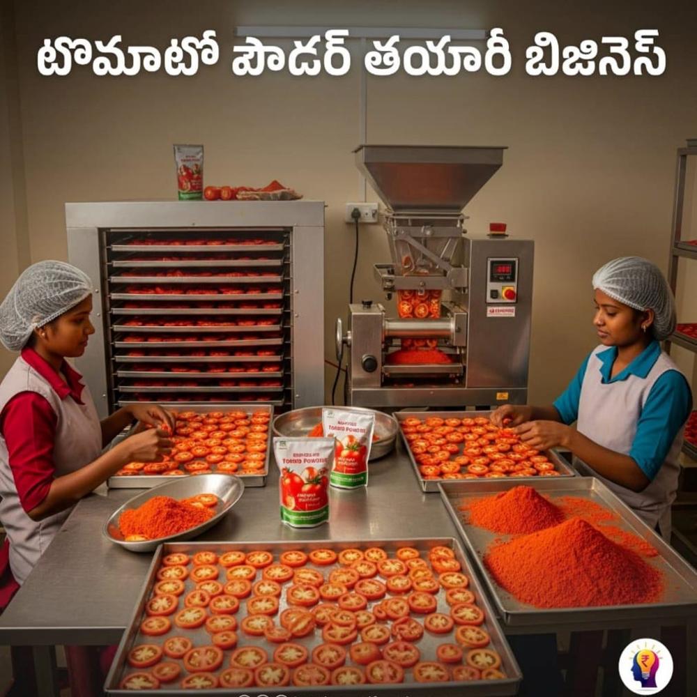 TOMATO DEHYDRATION POWDER PROCESSING PLANT
