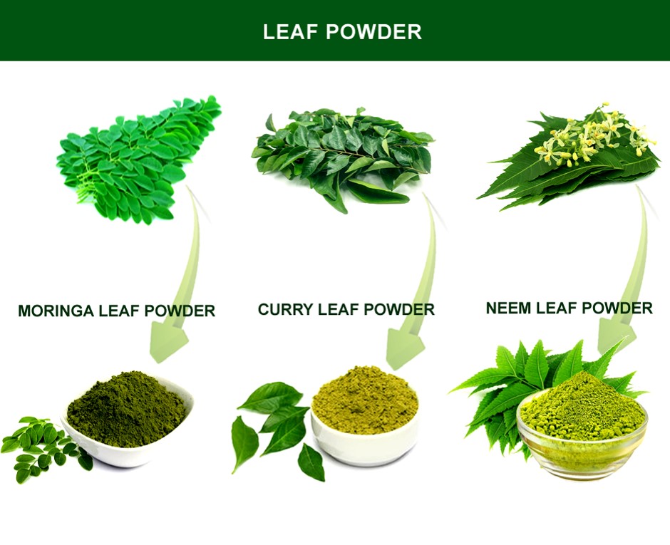 LEAFY VEGETABLES DEHYDRATED POWDER PROCESSING PLANT