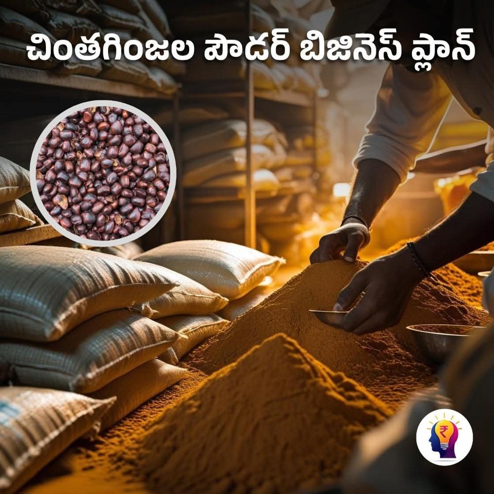 Tamarind Seed Powder Processing Plant