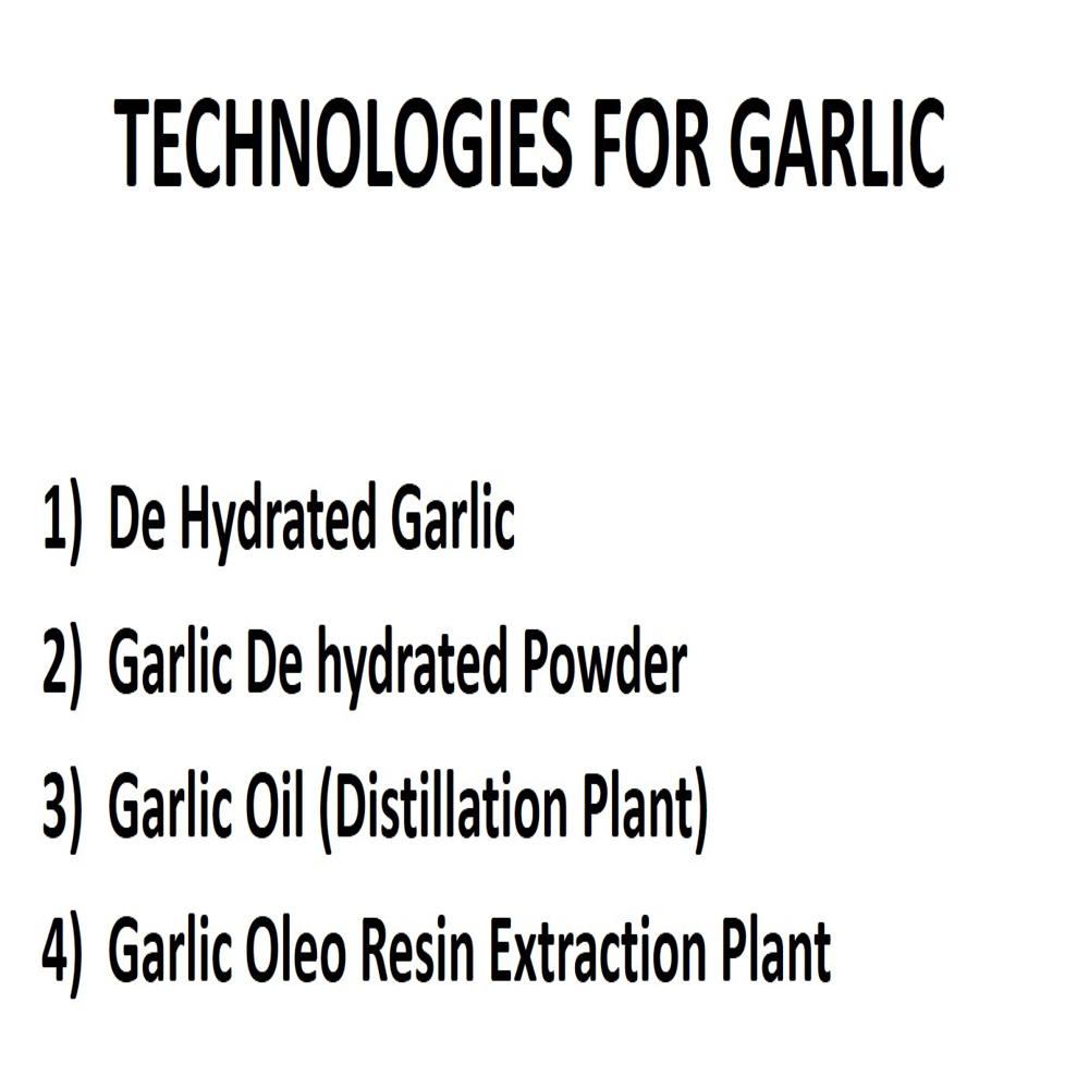 GARLIC OLEORESIN EXTRCATION PLANT