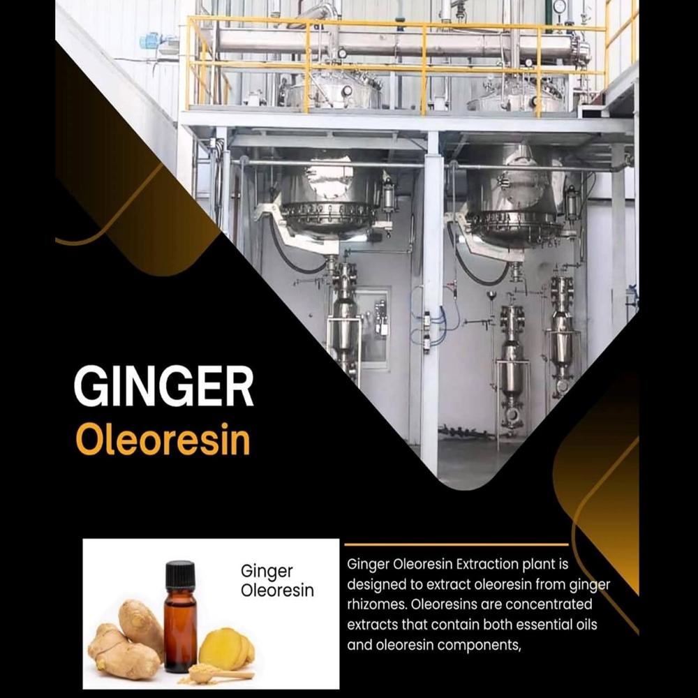 Ginger Oleoresin Extraction Plant