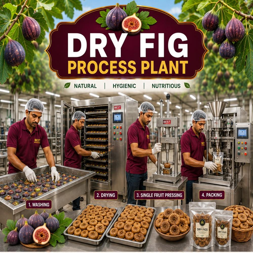 ANJEER DEHYDRATION PROCESSING PLANT