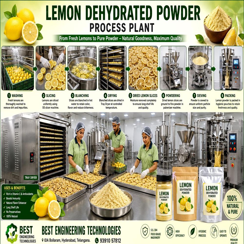 LEMON POWDER PROCESSING PLANT