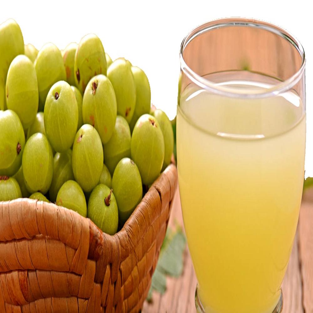 AMLA JUICE PROCESSING PLANT