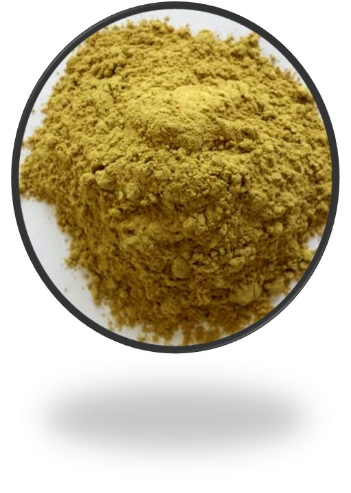 AMLA DEHYDRATION POWDER PROCESSING PLANT
