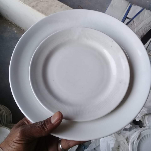 Printed Ceramic Plate