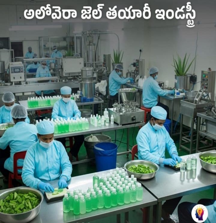 ALOEVERA PULP PROCESSING PLANT