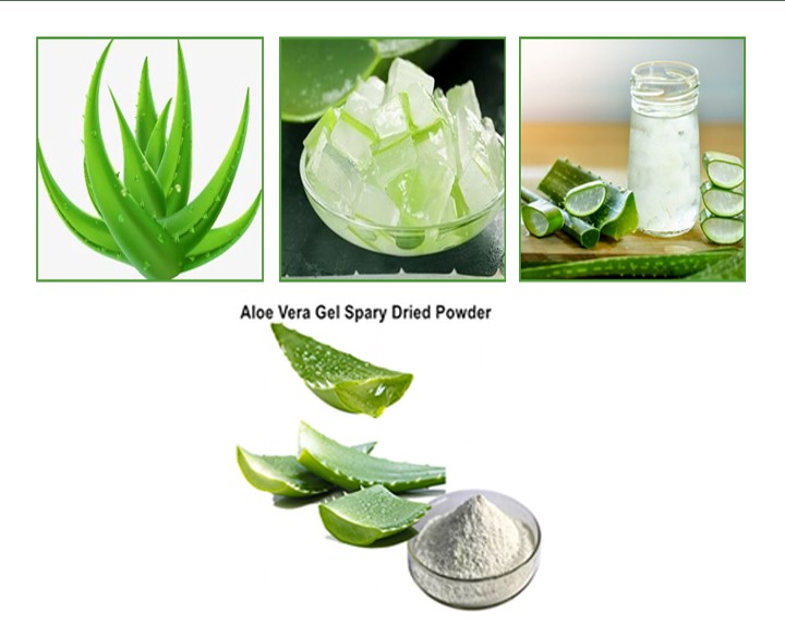 ALOEVERA POWDER PROCESSING PLANT