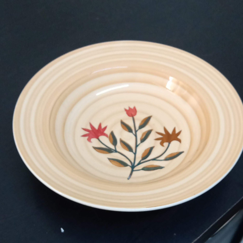 Baby Pnk Color Ceramic Dinner set