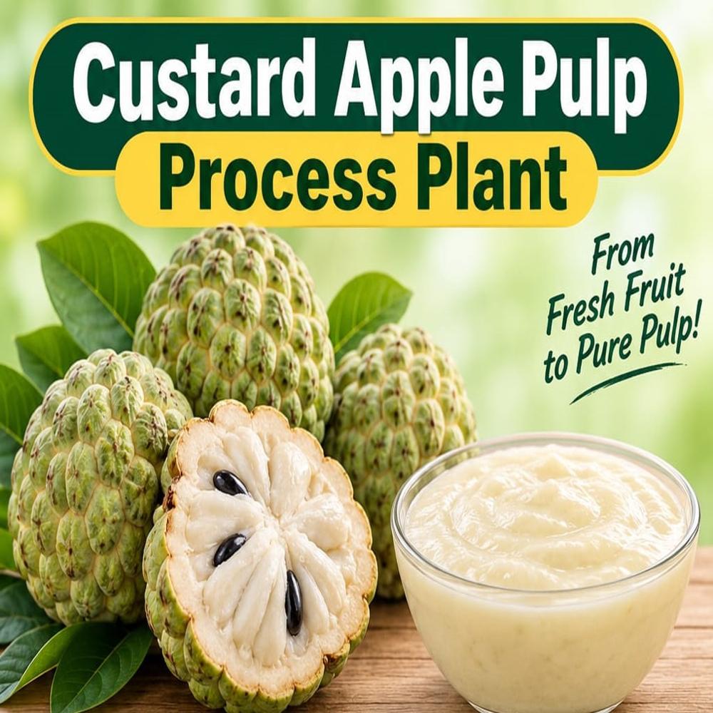 CUSTARD APPPLE PULP PROCESSING PLANT