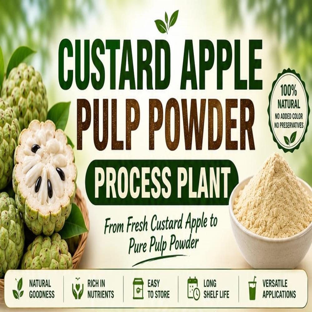 CUSTARD APPLE PULP POWDER PROCESSING PLANT
