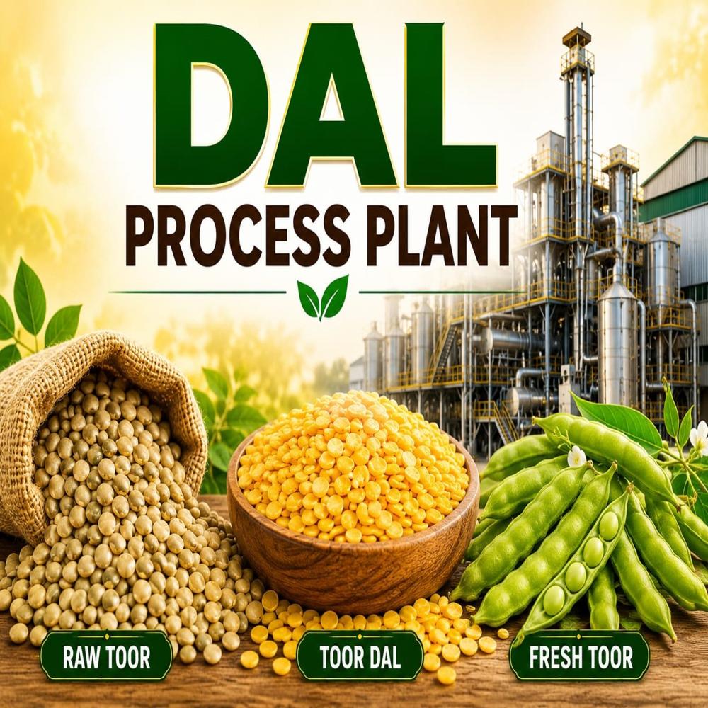DAL PROCESSING PLANT