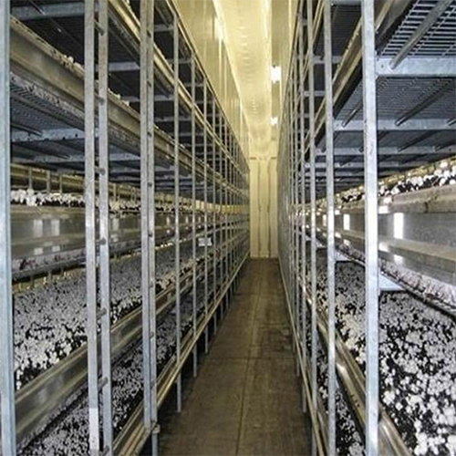 Mushroom Farming Cold Storage Room