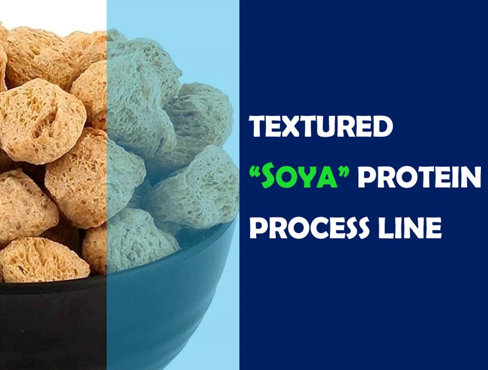 SOYA CHUNKS PROCESSING PLANT
