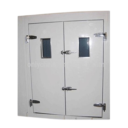 Flush Double Leaf Door