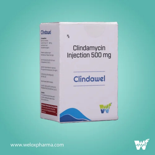 Clindawel Clindamycin Injection 500 mg