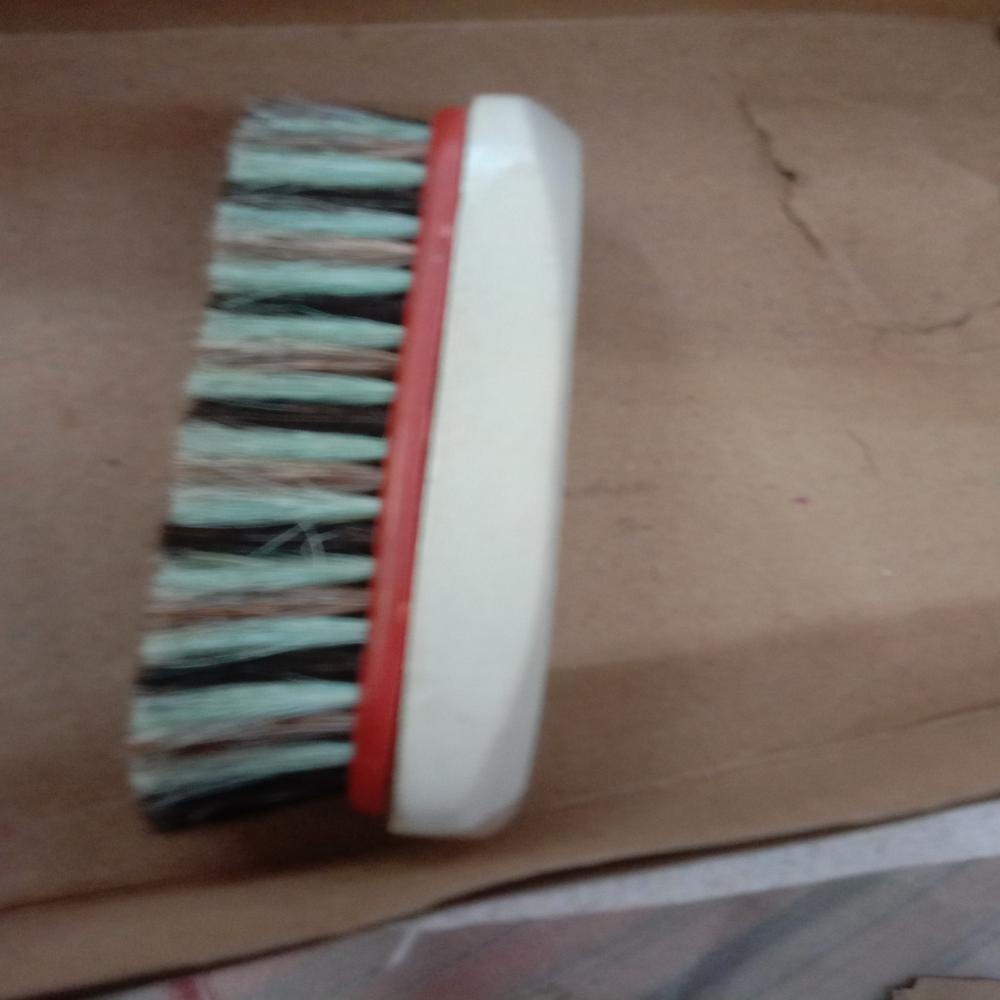 Shoe Brush