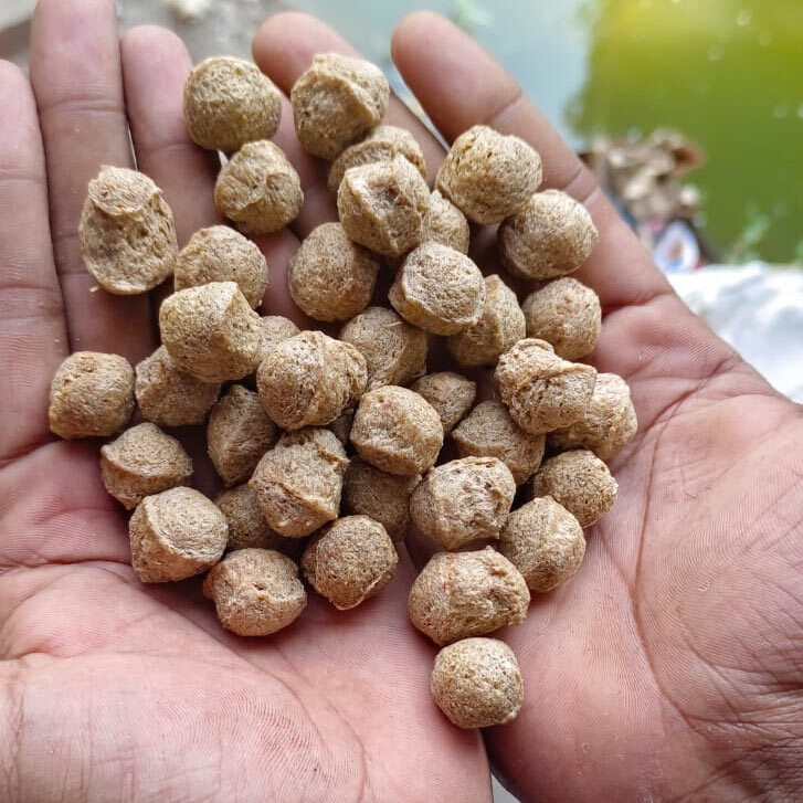 Organic Soya Chunk