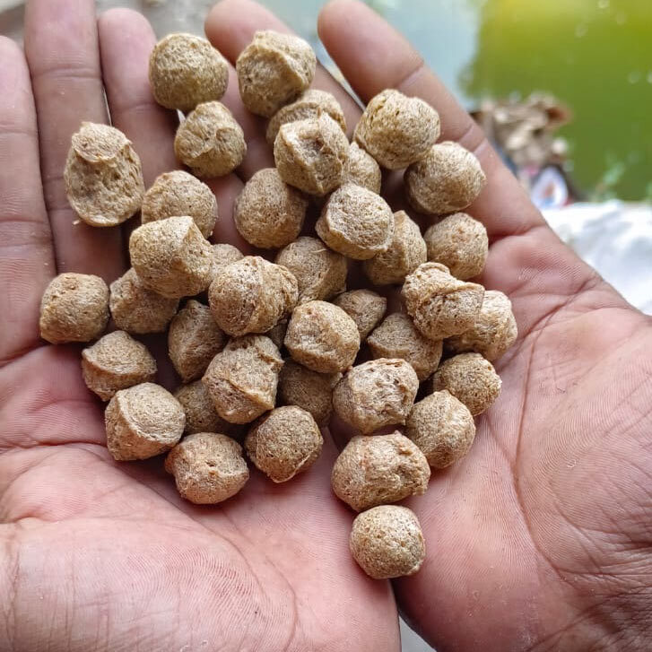 Soya Bari