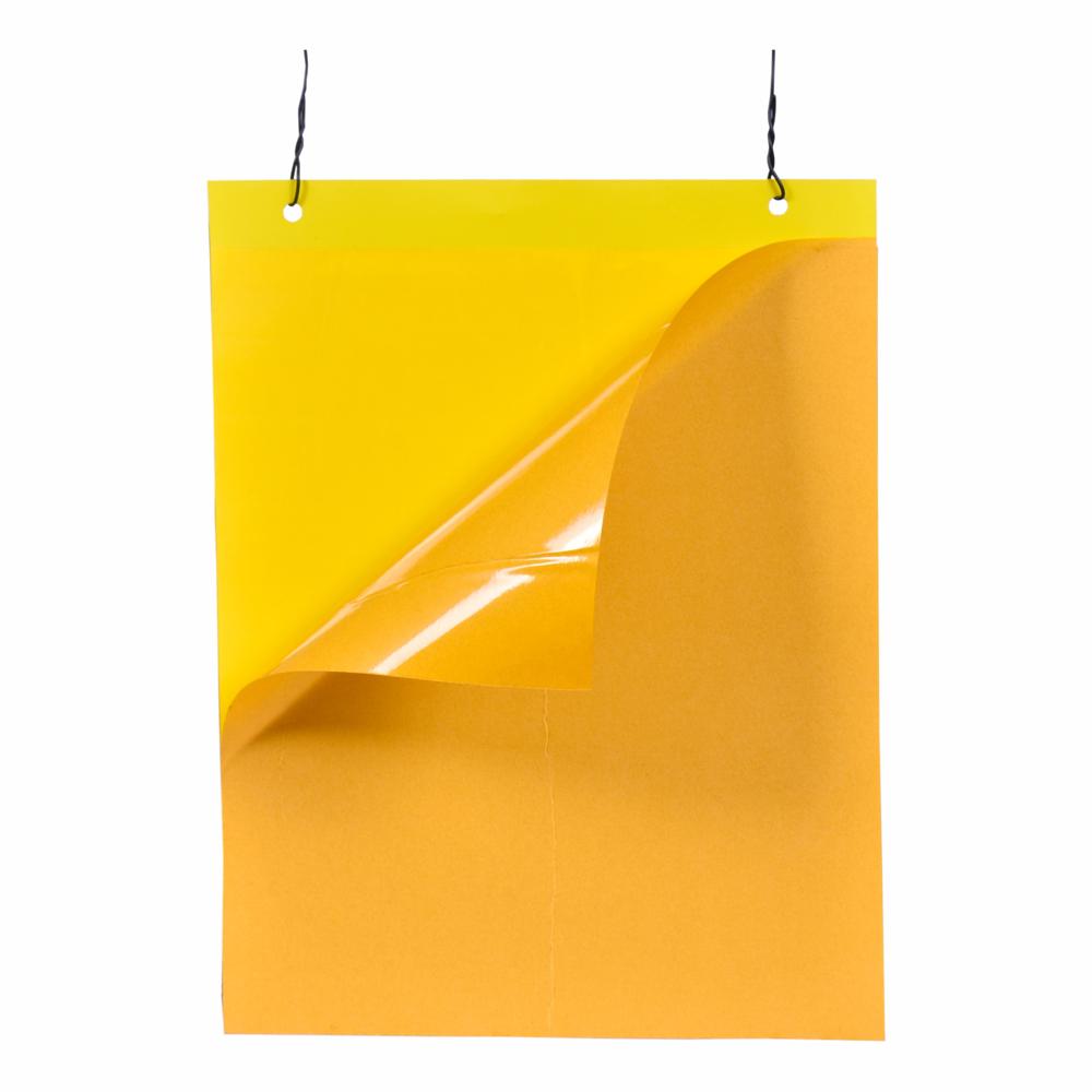 Yellow & Blue Sticky  insect Trap