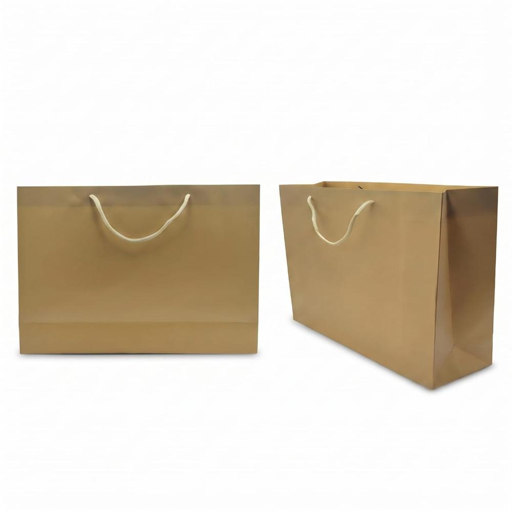 Printed Paper Shopping Carry Bags