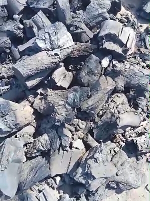 Charcoal Briquettes