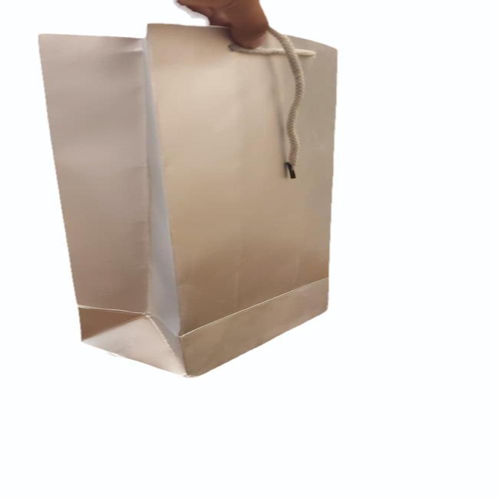 Carry Shopping Bags - Capacity: 1 Kg