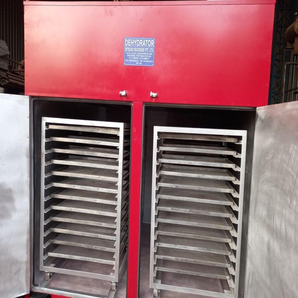 Fruit Dehydrator - Capacity: 6-8 Ltr