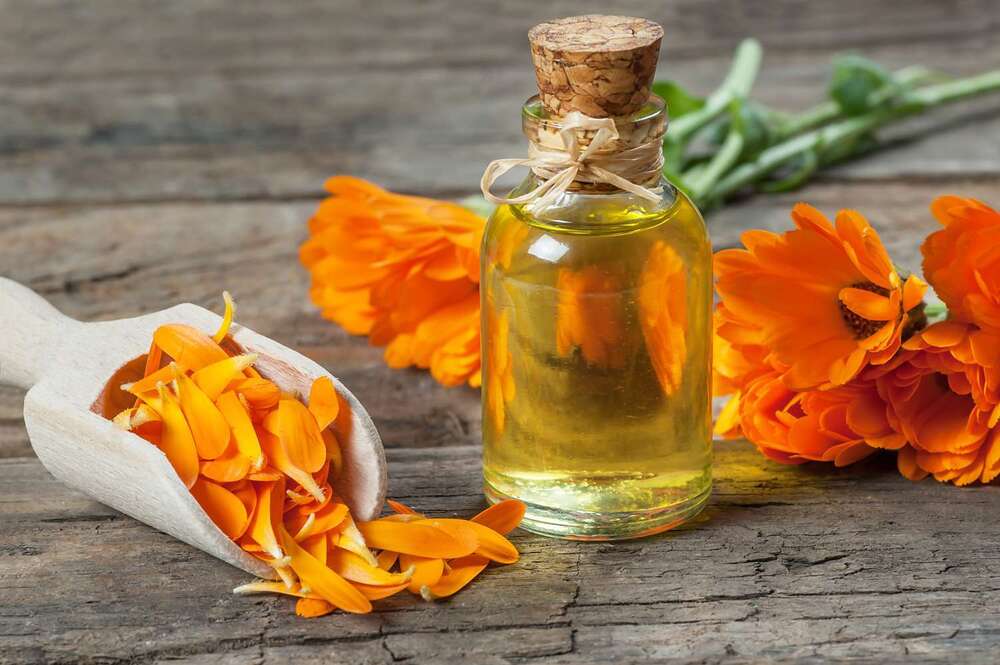 Calendula Oil - Age Group: All Age Groups